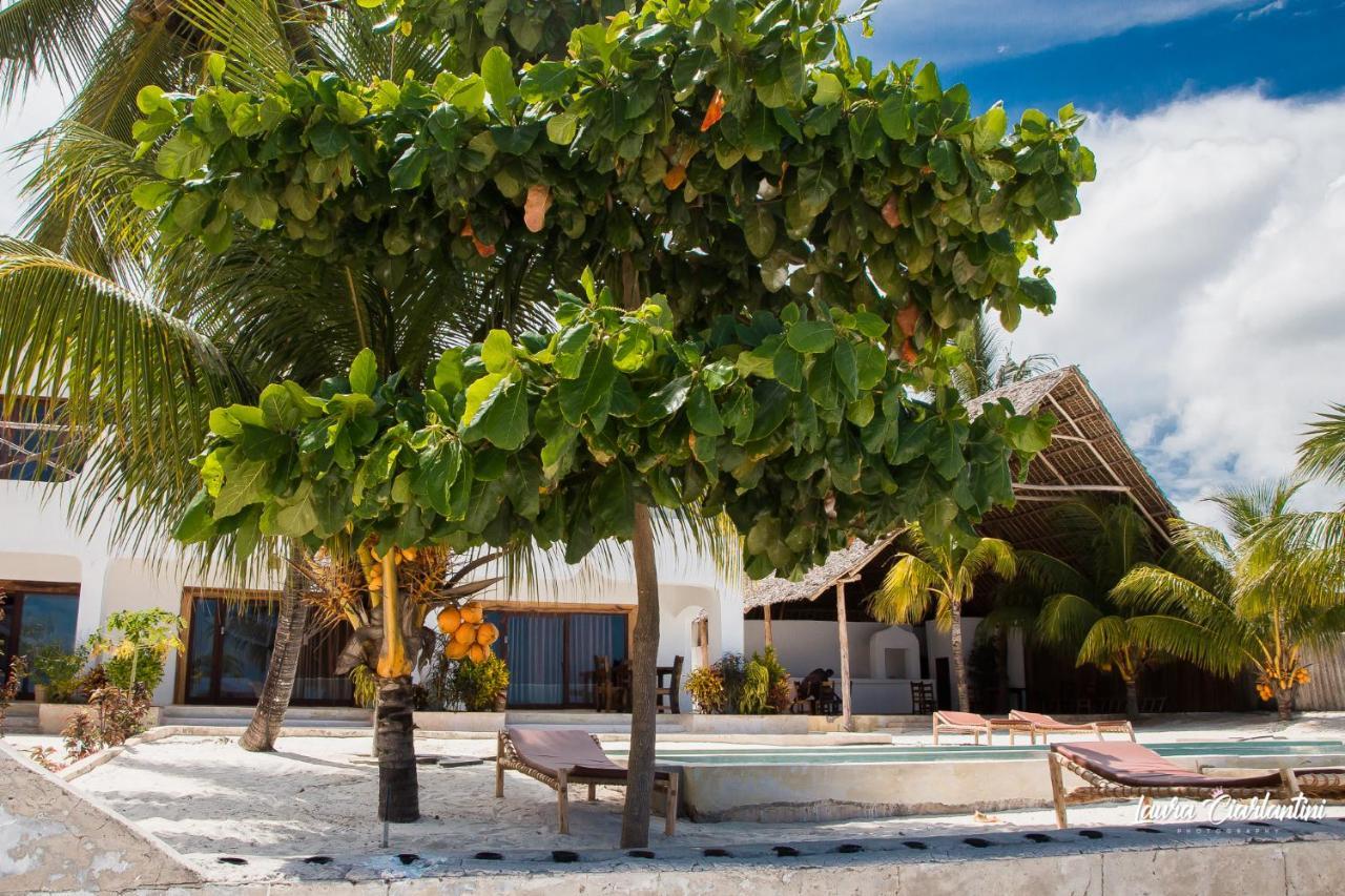 Uroa Zanzibar Vera Beach Hotel By Moonshine Dikoni Buitenkant foto