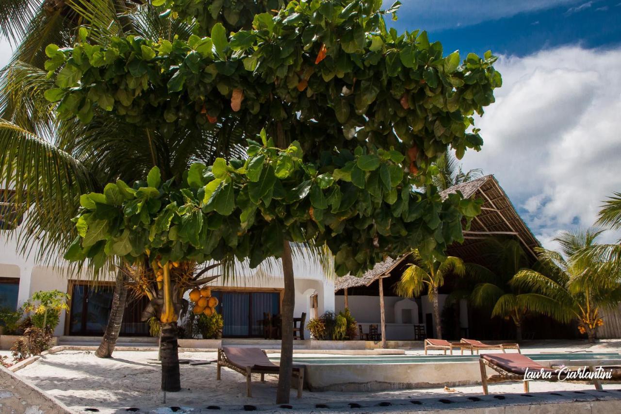 Uroa Zanzibar Vera Beach Hotel By Moonshine Dikoni Buitenkant foto